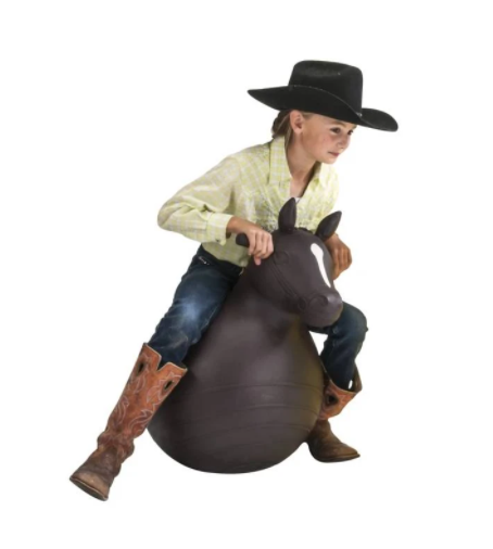Big Country Bouncy Horse