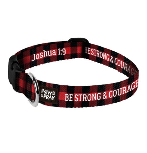 Dog Collar - Strong & Courageous