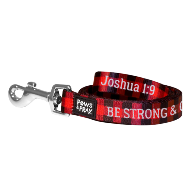 Dog Leash - Strong & Courageous