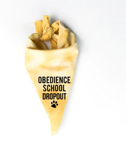 Obedience school dropout dog bandana
